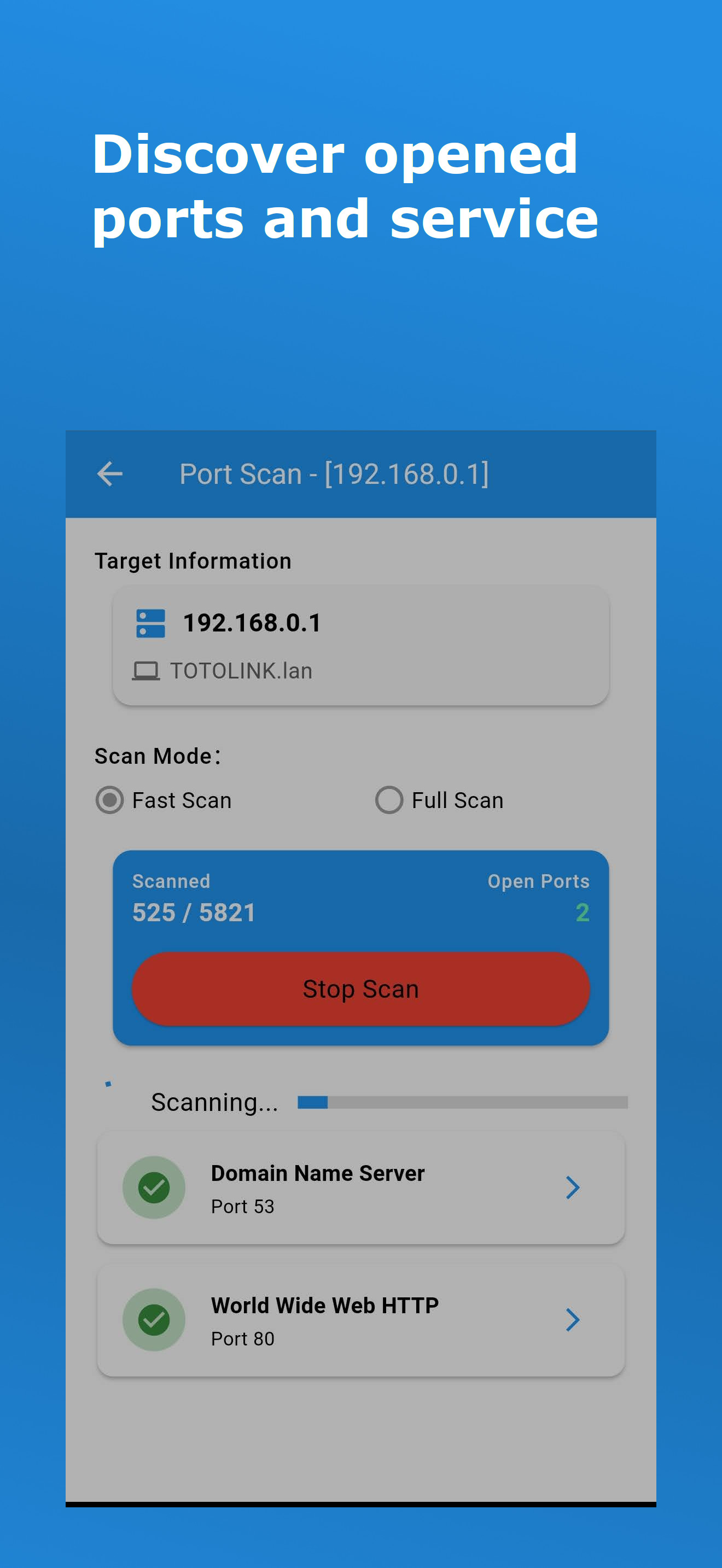 Port Scanning